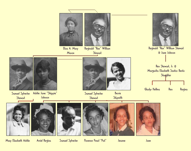 Samuel Stewart Family Chart